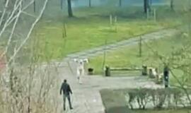 Teismas trims mėnesiams suėmė nuogą mokyklos teritorijoje sulaikytą vyrą