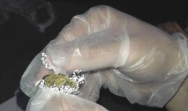 Automobilyje - paketas su augalinės kilmės medžiagomis