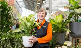 Ekspertė atskleidė 2020 metų kambarinių augalų tendencijas