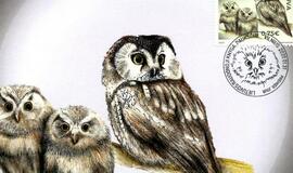 Išleidžiamas pašto ženklas, skirtas paslaptingiausiam Lietuvos paukščiui
