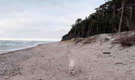 Orai: rekordinė šiluma ir stiprus vėjas