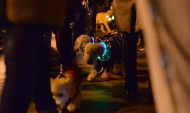 Klaipėdos šviesų festivalis