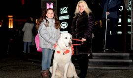 Klaipėdos šviesų festivalis