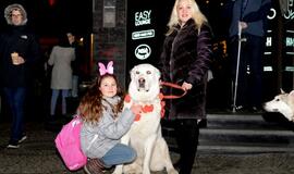 Klaipėdos šviesų festivalis