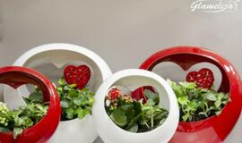 Gėlių salonas "Glamelija"