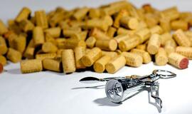 Suaugusių alkoholikų vaikų istorijos