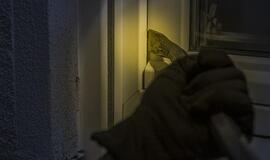 Suvestinė: smūgis lazda, girtas BMW vairuotojas ir apvogtas namas