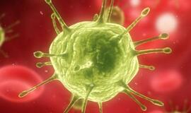 12 pavojingiausių virusų Žemėje