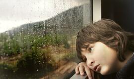 Kodėl šiuolaikiniai vaikai nemoka mokytis, nemoka laukti ir sunkiai pakelia nuobodulį