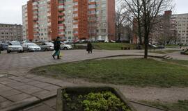 Į Klaipėdą grįžus smarvei, specialistus užplūdo skambučių lavina