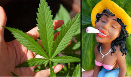 Kanapių legalizavimas: kai pradėsim gyvent ne tik draudimais