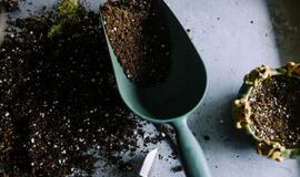 Karantino metu – į sodą ir kiemą: ekspertų patarimai, kaip saugiai tvarkyti žaliąsias atliekas