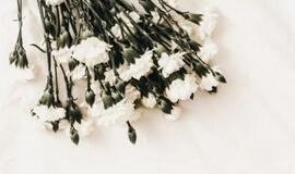 Lietuvoje patvirtintas 33-iasis mirties nuo COVID-19 atvejis