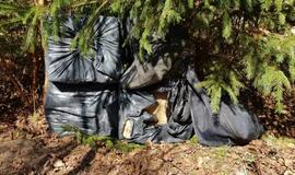 Per tris dienas klaipėdietis su kontrabanda pasieniečiams įkliuvo dukart