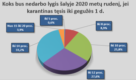 Verslininkų apklausos apie pandemijos poveikį rezultatai