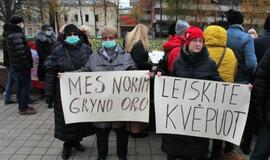 Klaipėdoje dėl taršos vieni į kitus pirštais rodo miestas ir geležies rūdos krovėjai