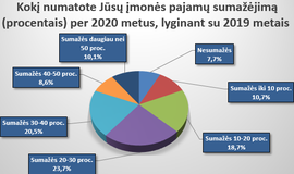 Verslininkų apklausos apie pandemijos poveikį rezultatai