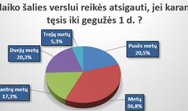 Verslininkų apklausos apie pandemijos poveikį rezultatai