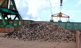 Klaipėdoje dėl taršos vieni į kitus pirštais rodo miestas ir geležies rūdos krovėjai