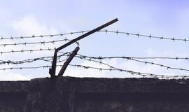 Plungiškiai už narkotikų gabenimą atsidurs už grotų