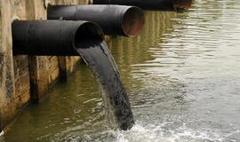 Vyriausybėje – 15 tūkst. eurų „Grigeo Klaipėdos“ taršos tyrėjams