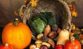 Klaipėdos rajonas nori savo darželinukus maitinti ekologiškai