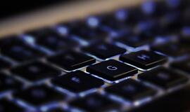 Probleminiu interneto naudojimas tampa pamažu, pasaulio mokslininkai sunerimę