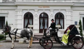 Švėkšnos istorijos su ponia iš dvaro