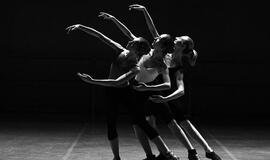 Vėjūna Žalalytė - Kultūros paslaugos Lietuvoje turi būti pasiekiamos visiems