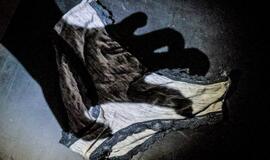 Aukštaitijoje – sukrečianti istorija: pedofilas įdukros ir sūnaus gyvenimą pavertė pragaru