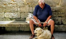 Gyvūnai yra mūsų kompanionai. Ar visada?