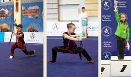 Klaipėdos kovotojams - Europos ušu auksas ir bronza