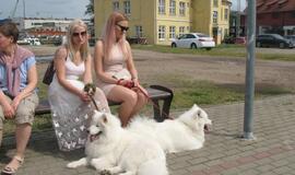 Keturkojų debesėlių sąskrydis