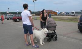 Keturkojų debesėlių sąskrydis