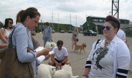 Keturkojų debesėlių sąskrydis