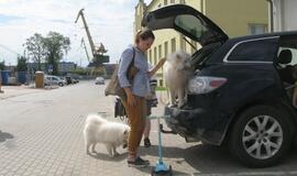 Keturkojų debesėlių sąskrydis