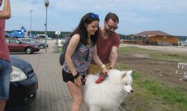 Keturkojų debesėlių sąskrydis