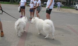 Keturkojų debesėlių sąskrydis