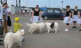 Keturkojų debesėlių sąskrydis