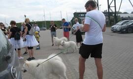 Keturkojų debesėlių sąskrydis