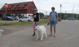 Keturkojų debesėlių sąskrydis