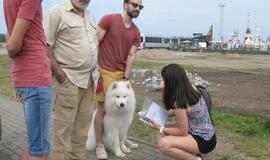 Keturkojų debesėlių sąskrydis