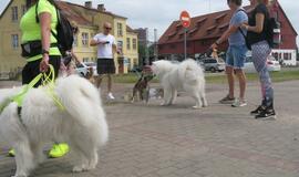 Keturkojų debesėlių sąskrydis