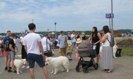 Keturkojų debesėlių sąskrydis