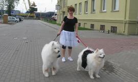 Keturkojų debesėlių sąskrydis