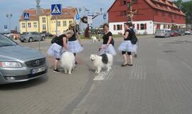 Keturkojų debesėlių sąskrydis