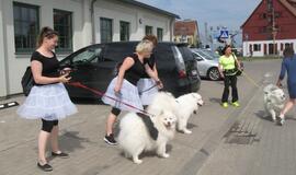 Keturkojų debesėlių sąskrydis