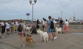 Keturkojų debesėlių sąskrydis