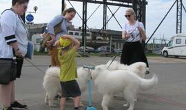 Keturkojų debesėlių sąskrydis