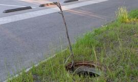 Pavojus likviduojamas – atviri šuliniai dengiami